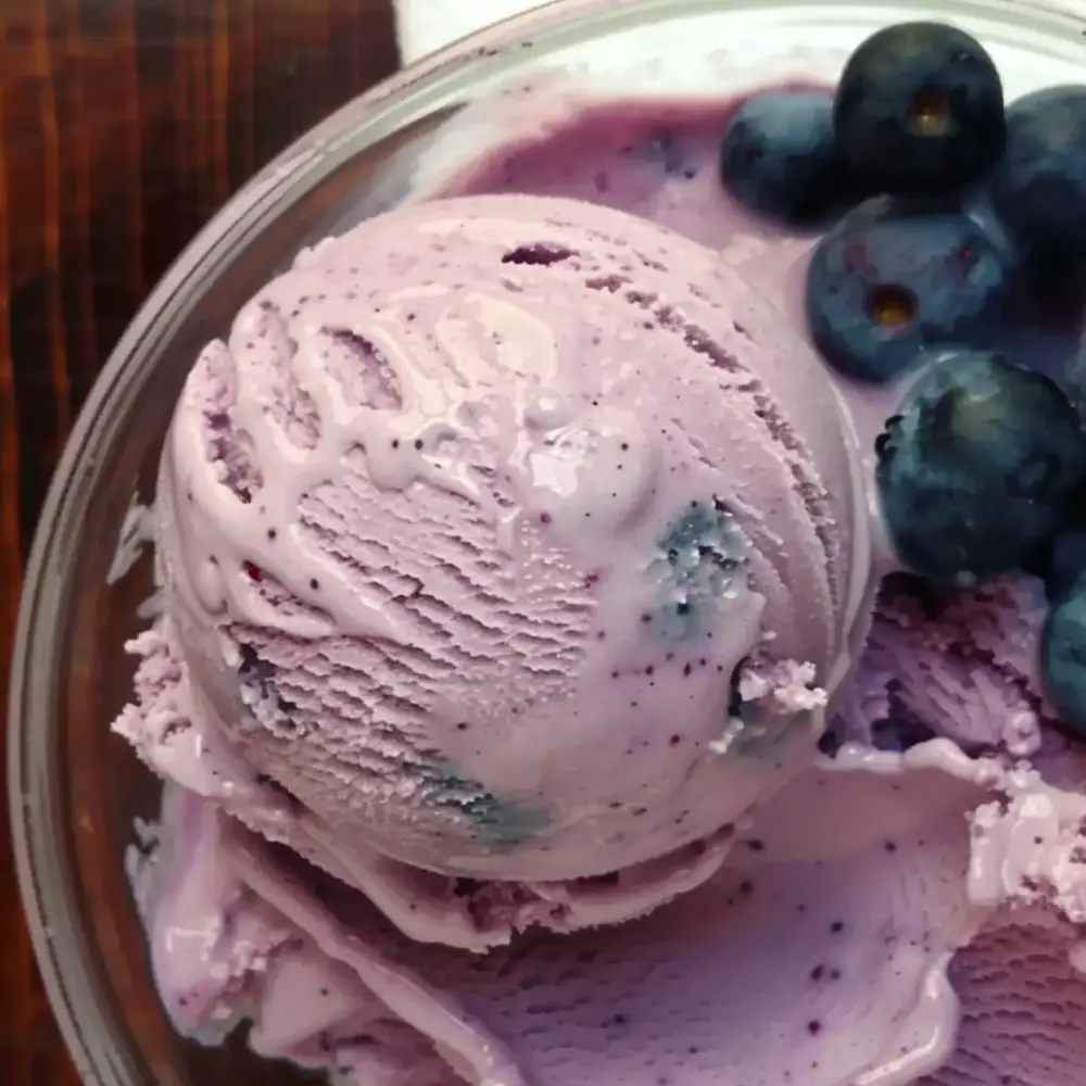 Homemade Blueberry Ice Cream