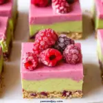 Vegan Raspberry Bars