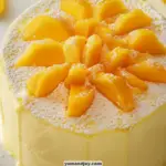 Vanilla Bakery-Style Sponge Cake