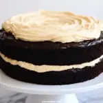 Dark Chocolate Guinness Cake with Bailey’s Irish Cream Frosting