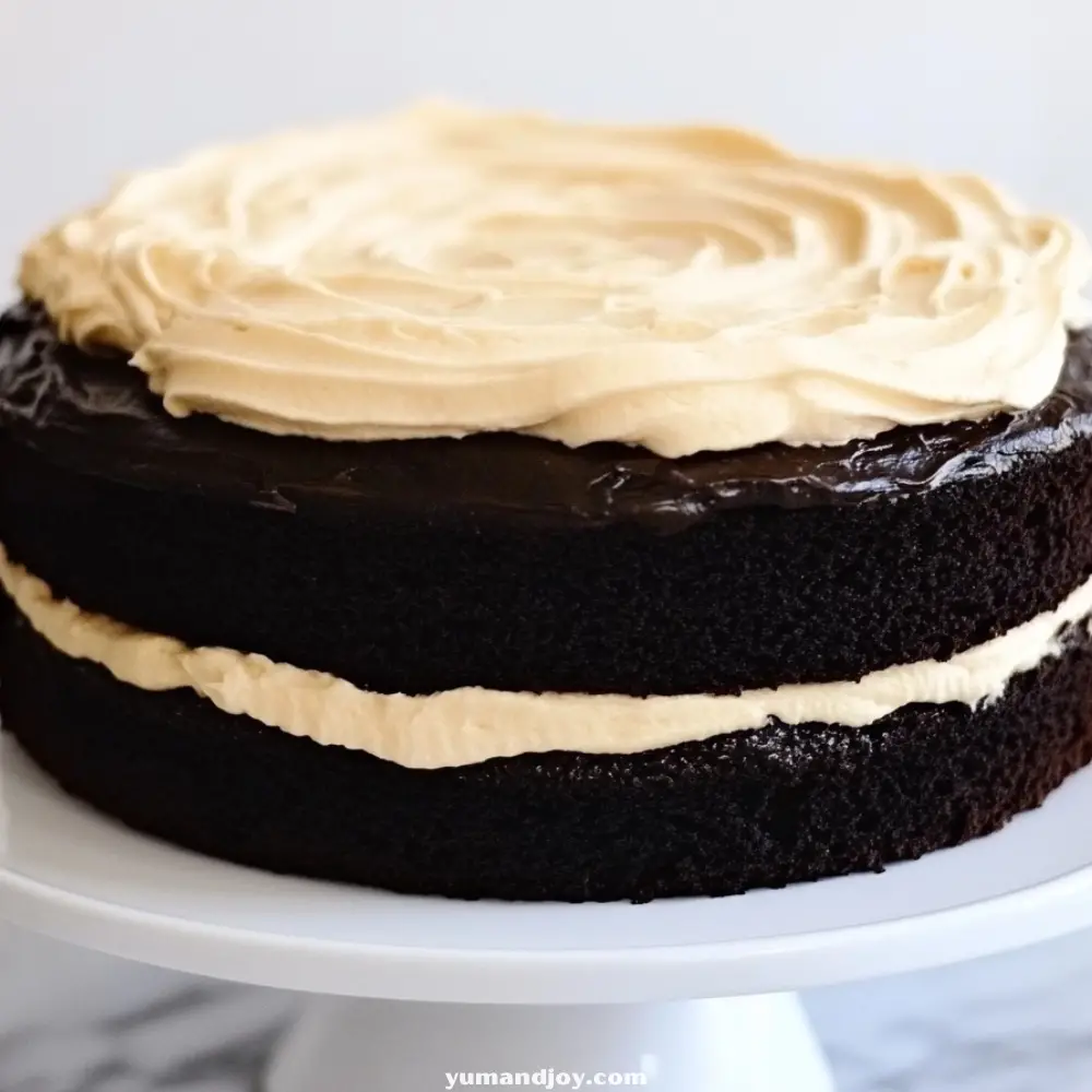 Dark Chocolate Guinness Cake with Bailey’s Irish Cream Frosting