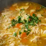 Spanish Chicken Soup
