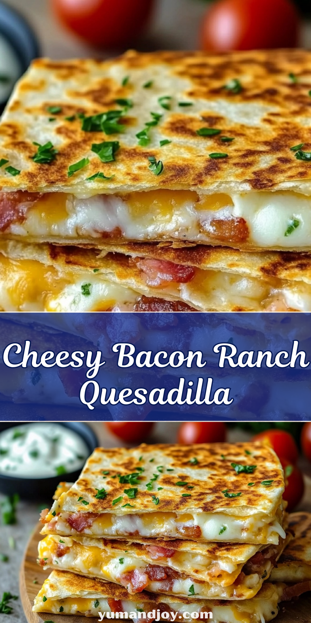 Cheesy Bacon Ranch Quesadilla